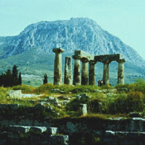 Meet your Posher, Daniel - Picture 1 of 1